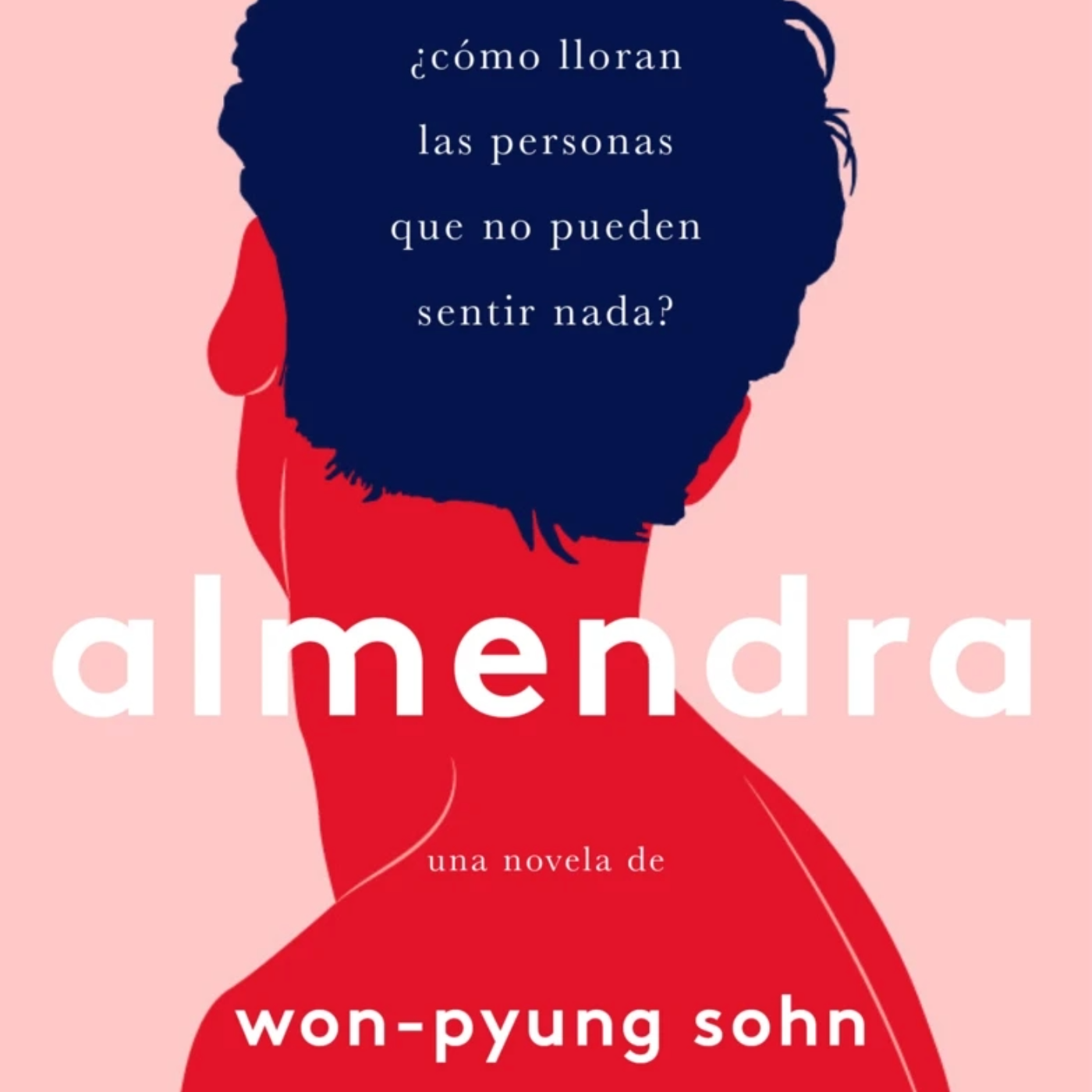 AI-diolibros